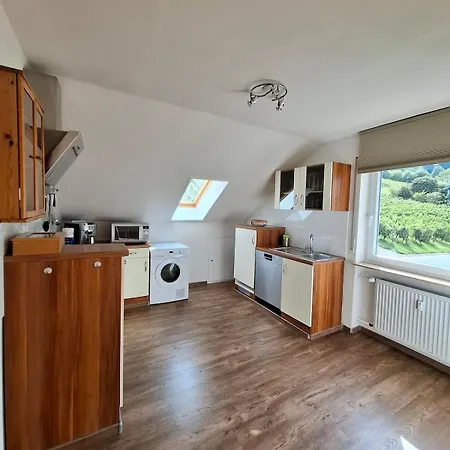 Weinbergblick Im Haus Frey - 2br ,kueche, 2 Baeder, 2 Balkone, Parkplatz Direkt Vor Der Tuer דירה *