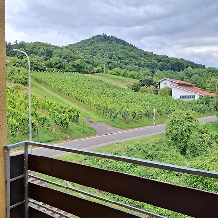Weinbergblick Im Haus Frey - 3 Schlafzimmer ,Kueche, 2 Baeder, 2 Balkone, Parkplatz Direkt Vor Der Tuer Leinsweiler