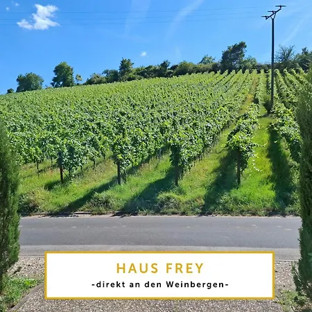 Weinbergblick Im Haus Frey - 3 Schlafzimmer ,kueche, 2 Baeder, 2 Balkone, Parkplatz Direkt Vor Der Tuer