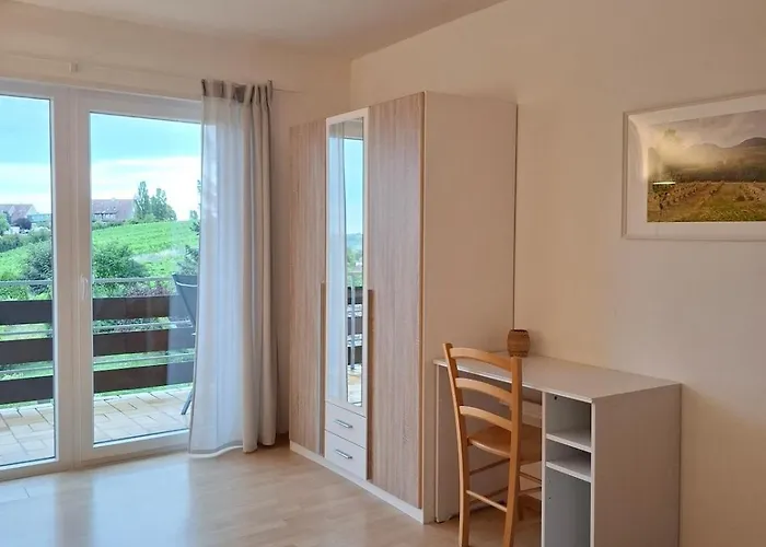 Weinbergblick Im Haus Frey - 3 Schlafzimmer ,Kueche, 2 Baeder, 2 Balkone, Parkplatz Direkt Vor Der Tuer Appartement *