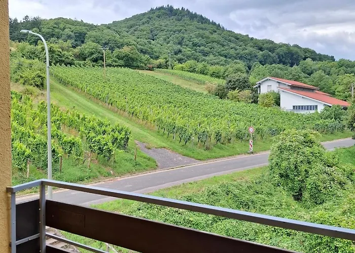 Weinbergblick Im Haus Frey - 2br ,kueche, 2 Baeder, 2 Balkone, Parkplatz Direkt Vor Der Tuer Leinsweiler